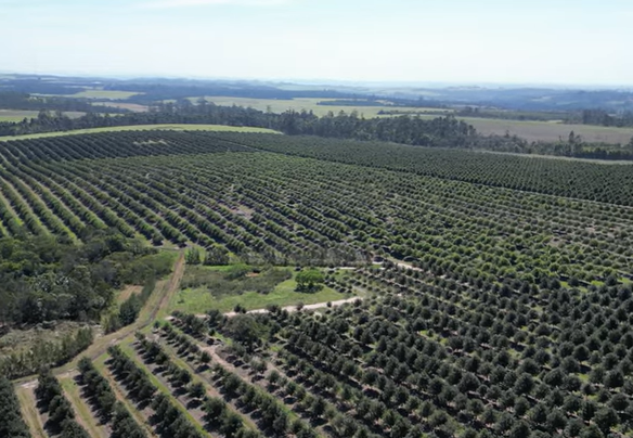 FOR SALE – 100% GOING CONCERN – NO VAT – no transfer duty – FARM PADDOCK