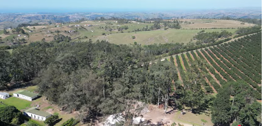 FOR SALE – 100% GOING CONCERN – NO VAT – no transfer duty – FARM PADDOCK