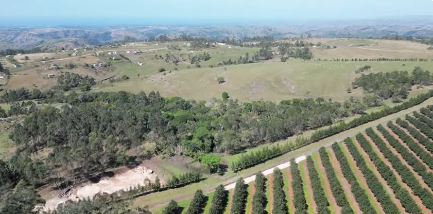 FOR SALE – 100% GOING CONCERN – NO VAT – no transfer duty – FARM PADDOCK