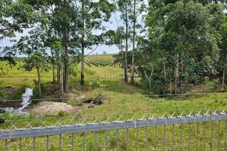 FOR SALE – 100% GOING CONCERN – NO VAT – no transfer duty – FARM PADDOCK