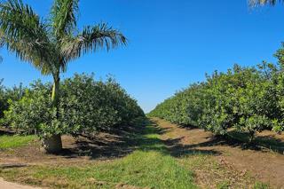 FOR SALE – 100% GOING CONCERN – NO VAT – no transfer duty – FARM PADDOCK