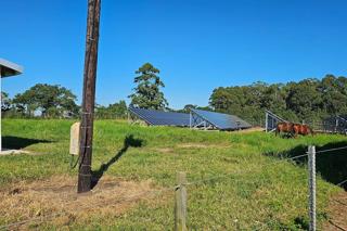 FOR SALE – 100% GOING CONCERN – NO VAT – no transfer duty – FARM PADDOCK